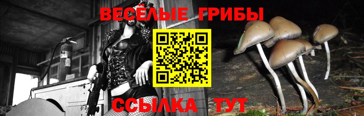 Псилоцибиновые грибы мицелий Артёмовский